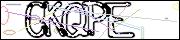 CAPTCHA CODE